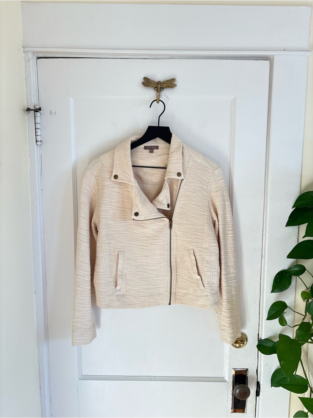 Lilla P Knit Textured Moto Asymmetrical Cotton Jacket Cream Size Large
